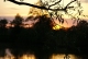Russian nature #2